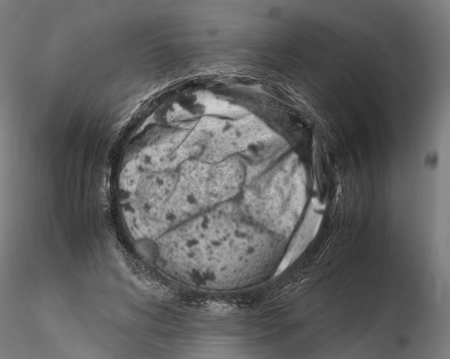 X0000115500592200912041040