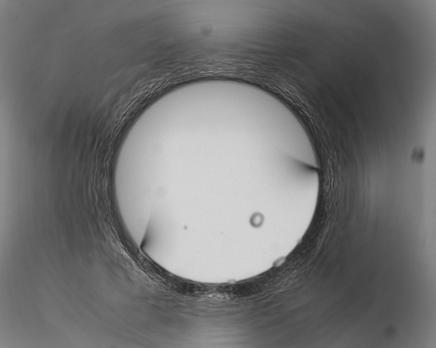 X0000115500593200912041040