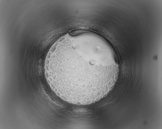 X0000115500594200912041040