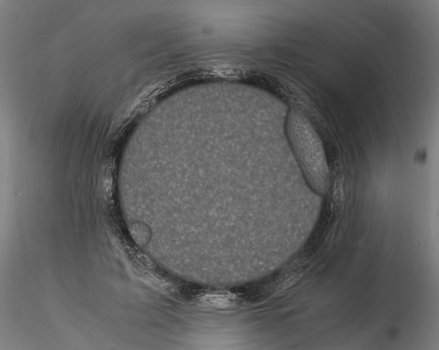 X0000115500595200912041040