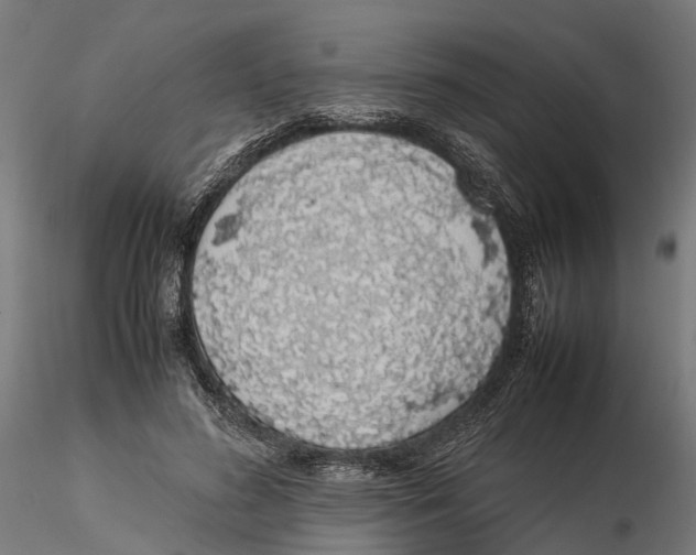 X0000115500596200912041040