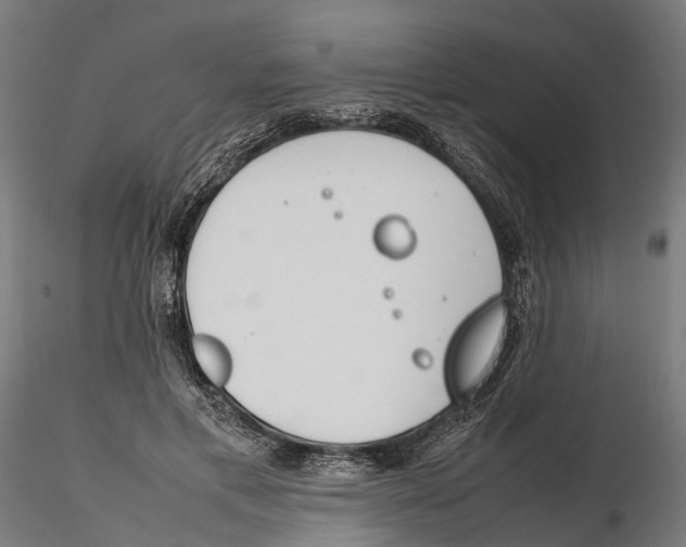 X0000115500597200912041040