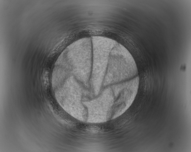 X0000115500598200912041040