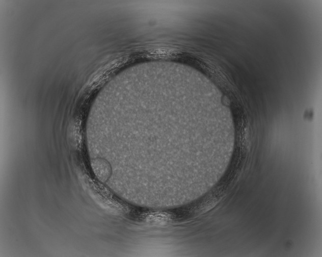 X0000115500599200912041040