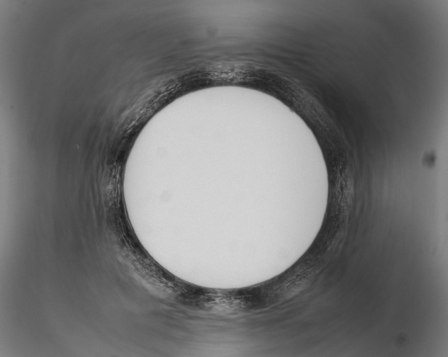 X0000115500601200912041040
