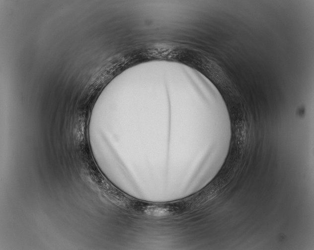 X0000115500602200912041040