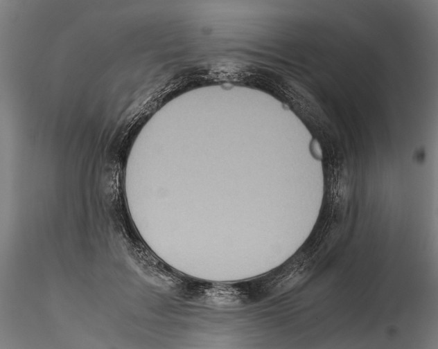 X0000115500603200912041040