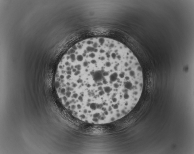 X0000115500604200912041040