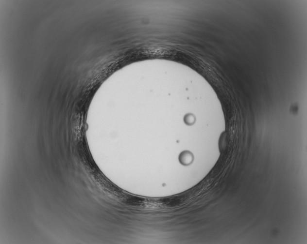 X0000115500605200912041040