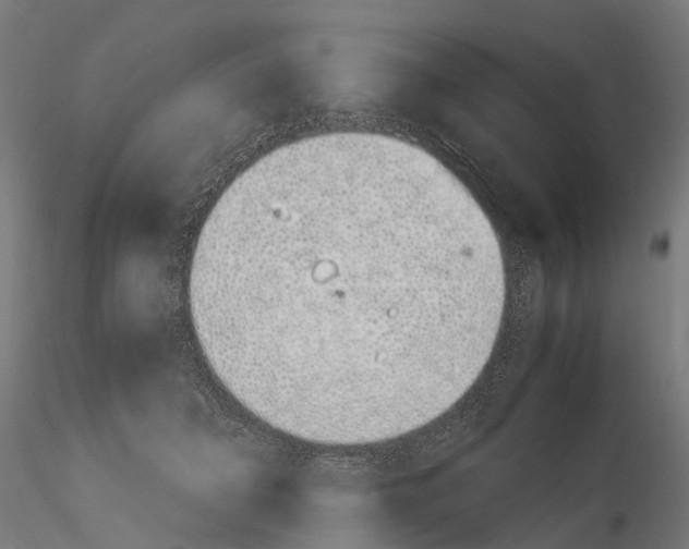 X0000115500606200912041040