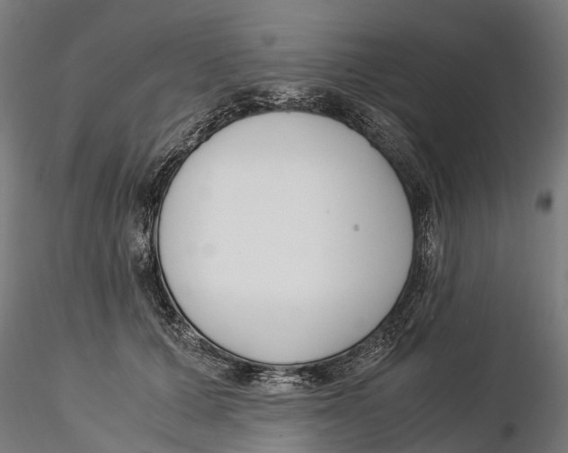 X0000115500607200912041040