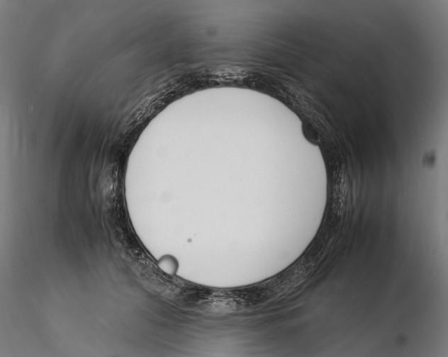 X0000115500608200912041040