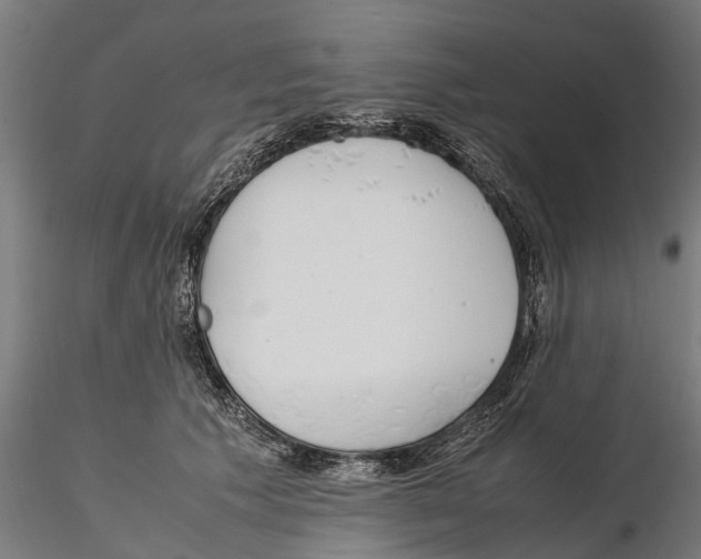 X0000115500609200912041040