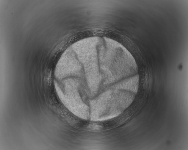 X0000115500610200912041039
