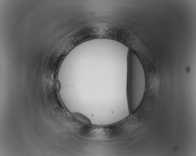 X0000115500611200912041039