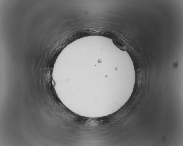 X0000115500613200912041039