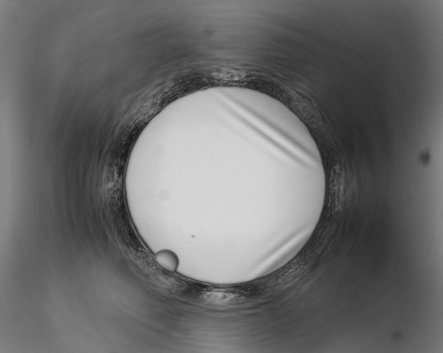 X0000115500614200912041039