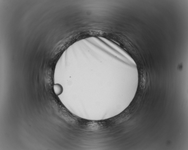 X0000115500616200912041039
