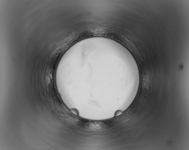 X0000115500618200912041039