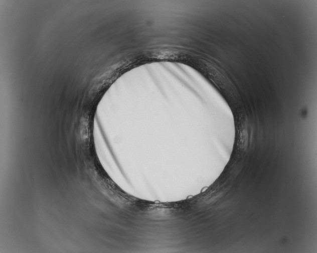 X0000115500620200912041039