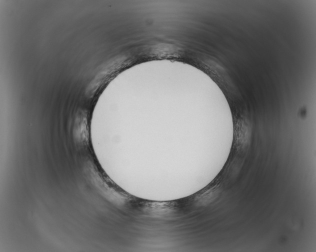 X0000115500622200912041039