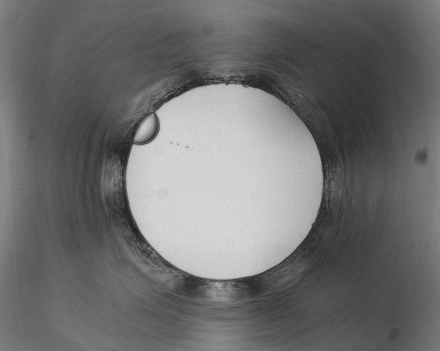 X0000115500623200912041039