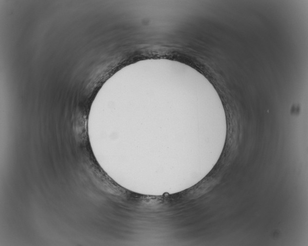 X0000115500624200912041039