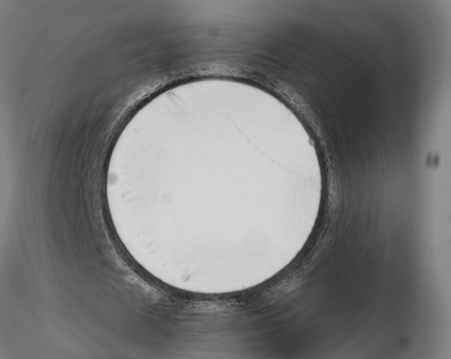 X0000115500625200912041038
