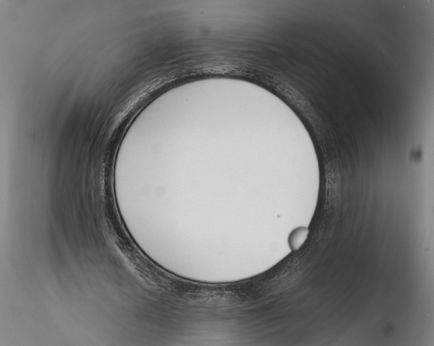 X0000115500626200912041039