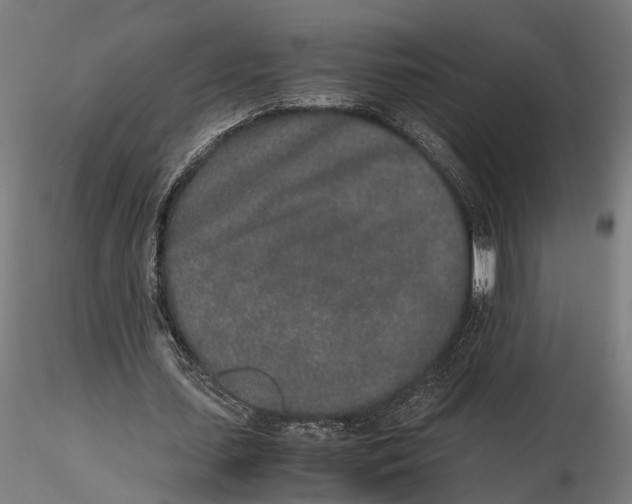 X0000115500627200912041039