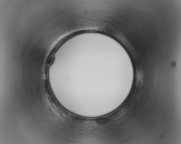 X0000115500628200912041039