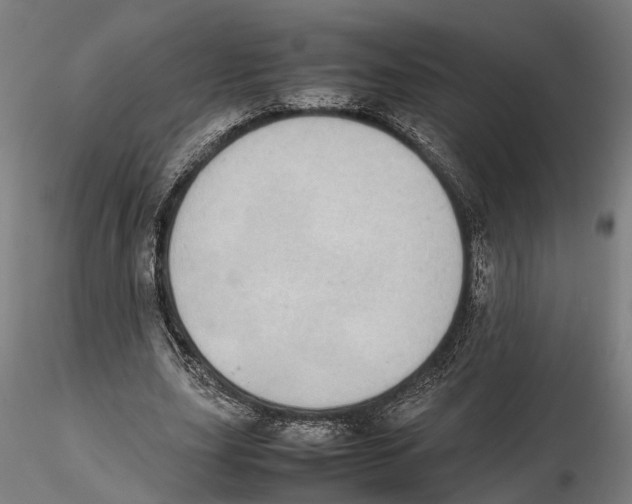 X0000115500631200912041039