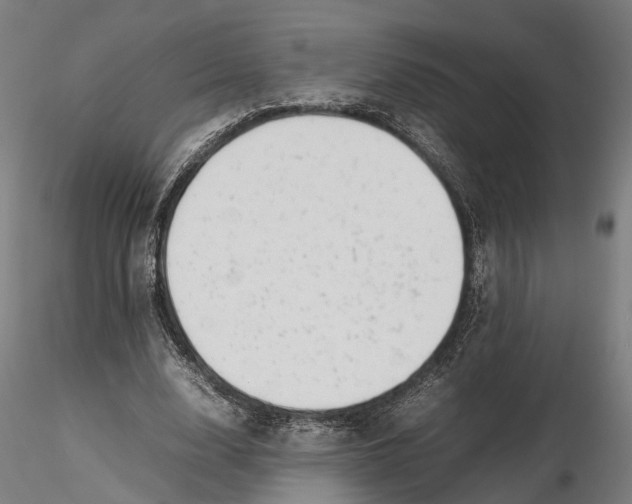X0000115500632200912041039