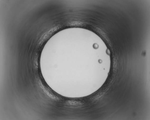 X0000115500633200912041039