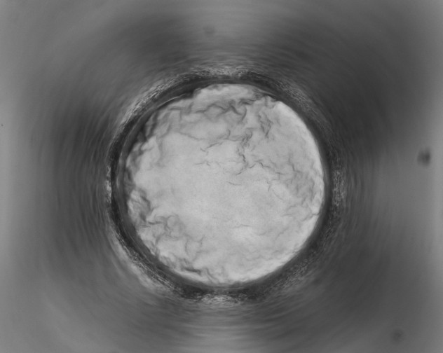 X0000115500634200912041039