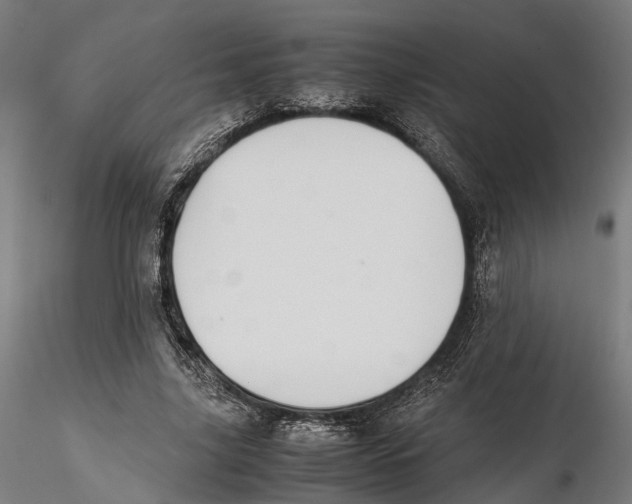 X0000115500635200912041039