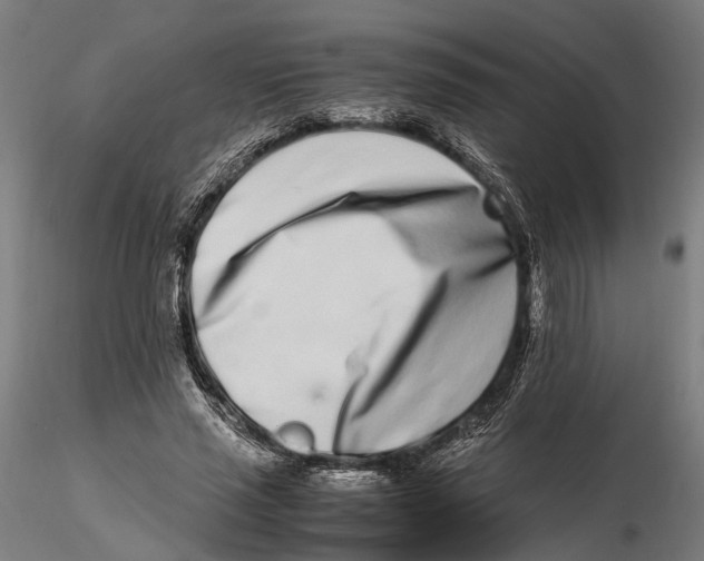 X0000115500637200912041039
