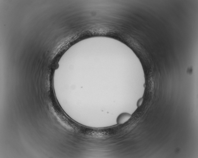X0000115500638200912041039