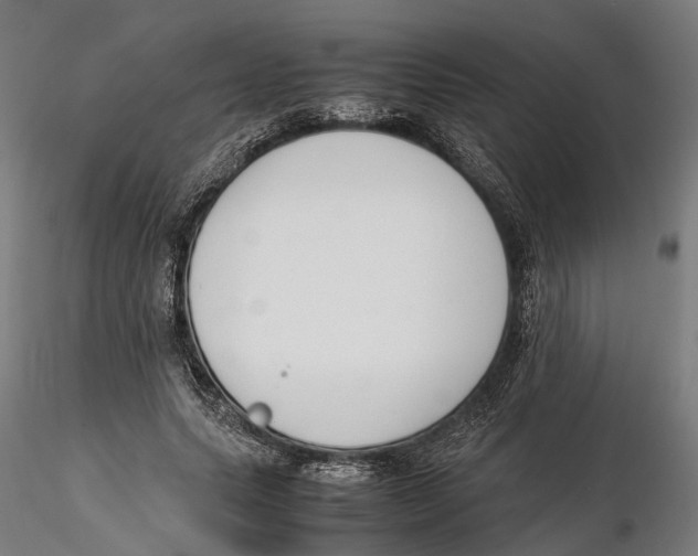 X0000115500639200912041039
