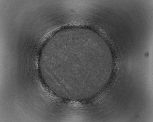 X0000115500640200912041039