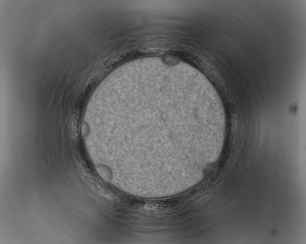 X0000115500641200912041039