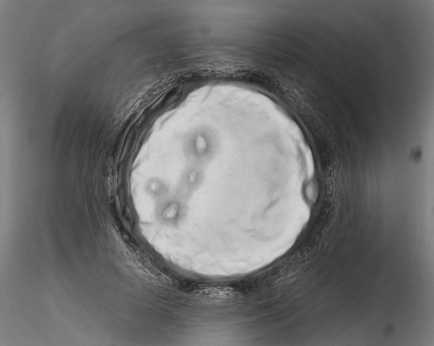 X0000115500642200912041039