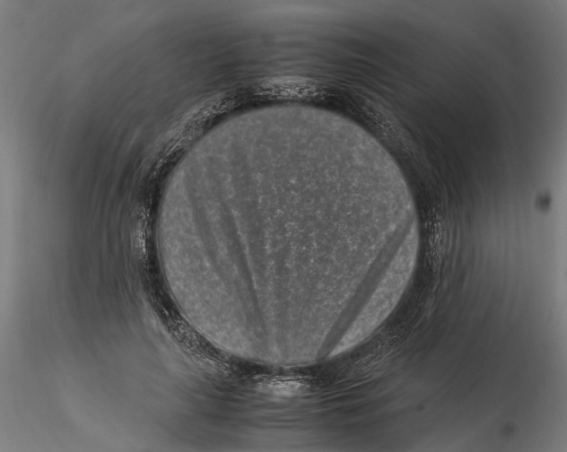 X0000115500643200912041039