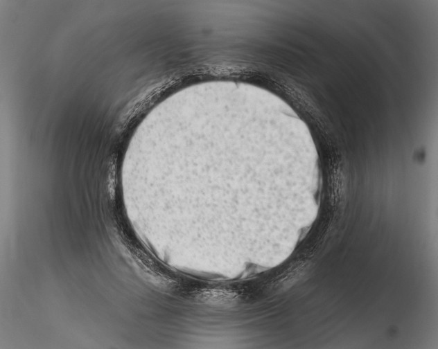 X0000115500644200912041039