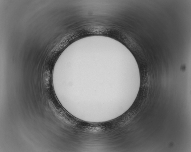 X0000115500646200912041039