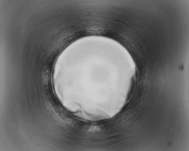 X0000115500647200912041039