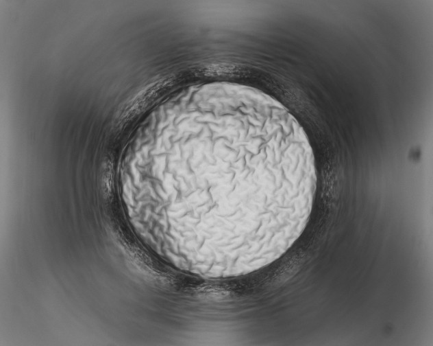 X0000115500648200912041039