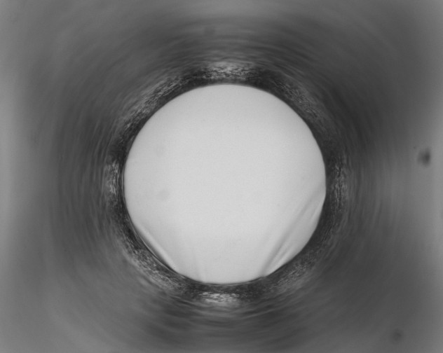 X0000115500649200912041039