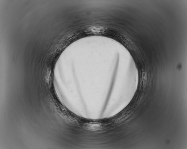 X0000115500651200912041039