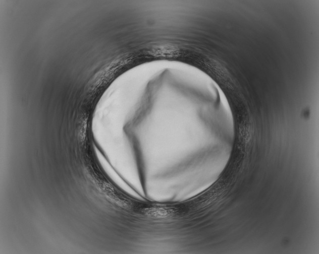 X0000115500652200912041039